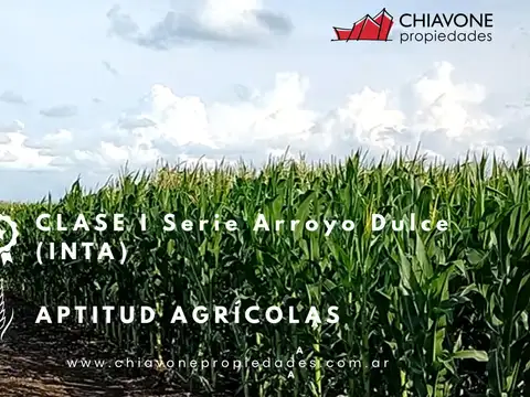 32,5 Ha Serie Arroyo Dulce (inta)
