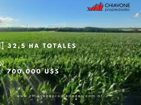 VENTA DE CAMPO – 32,5 ha en ARROYO DULCE