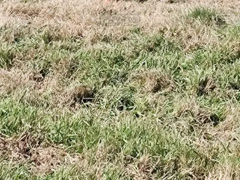 Terreno en Venta de 788,0 m2