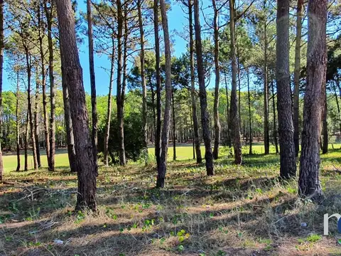 Lote en Venta en Pinamar Isla del Golf 
