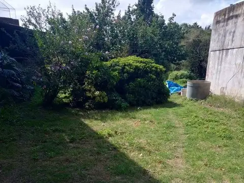 Terreno en Venta 44  mts Fondo