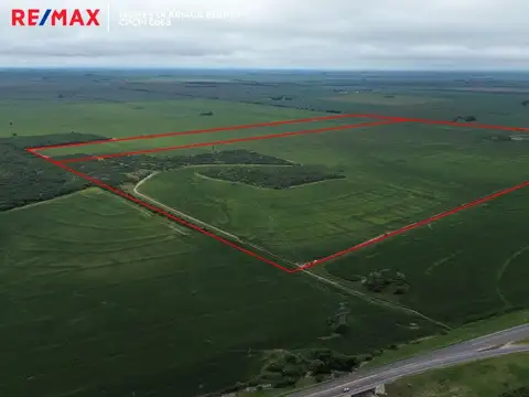 VENTA CAMPO 140 HAS SOBRE RUTA 36 ALMAFUERTE CBA