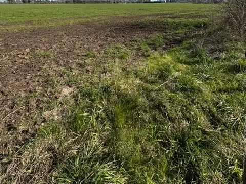 Venta de Campo en Cortines