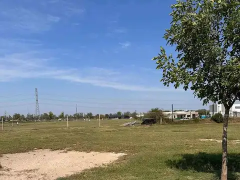 Ruta 26 100