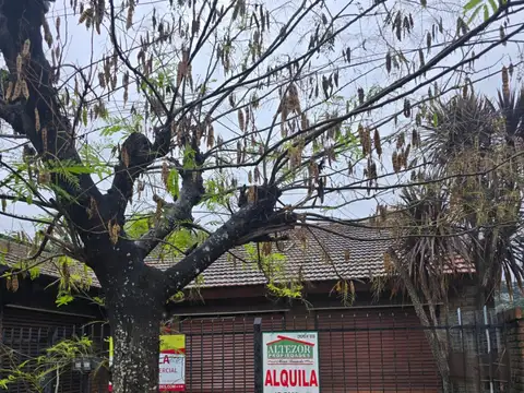Avenida Tomás Márquez