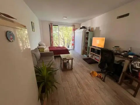 Alquiler Temporal Departamento Monoambiente en Saavedra