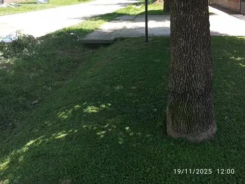 Domingo Regules 1000