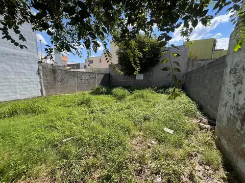 Cabo.miguel Carrizo 300