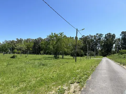 Terreno en Venta 15  mts Frente