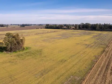 San Andres de Giles entorno rural