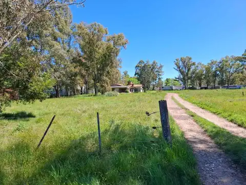 LOTE VENTA CAÑUELAS FRENTE A RUTA 205