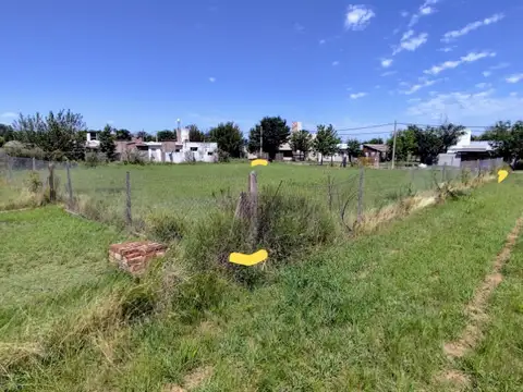 Los Sauces cerca Teruggi 100