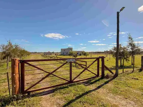 Camino del Quinton