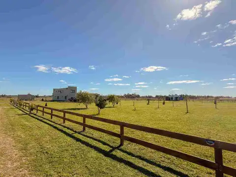Chacra en Venta 1 ha de campo Casa con pileta
