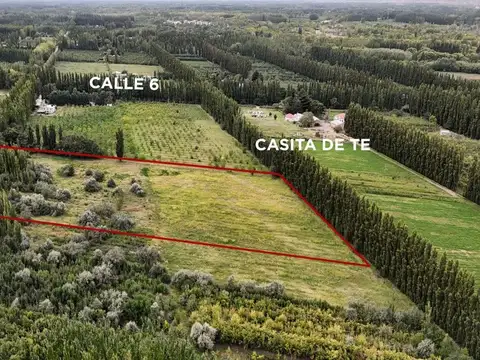 VENTA CHACRA 2,5HAS, CALLE 20 CENTENARIO - NEUQUÉN