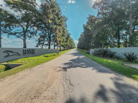 Haras de Funes 'Mz V Lote 4