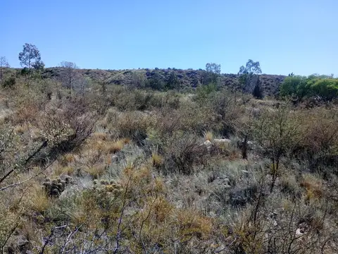 Terreno en Venta en Blanco Encalada , Lujan de Cuyo. Oportunidad para inversión
