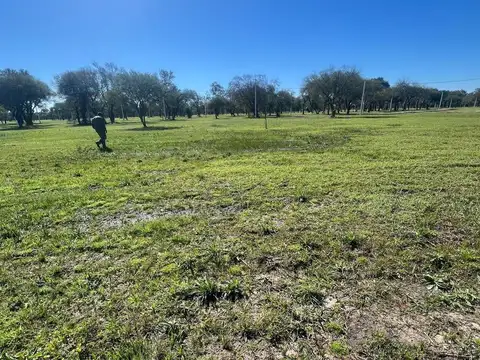 Terreno en Venta en Colonia Popular, USD 7.500