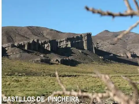 Terreno en Venta de 10000,0 m2