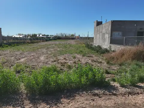 TERRENO EN VENTA LA CIGARRA