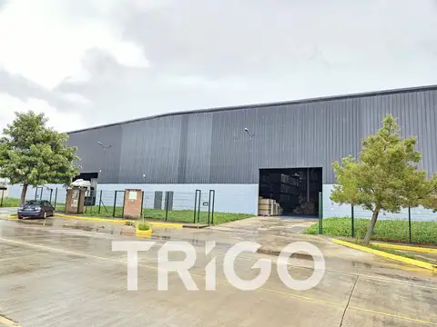 Galpon en Venta 7 años