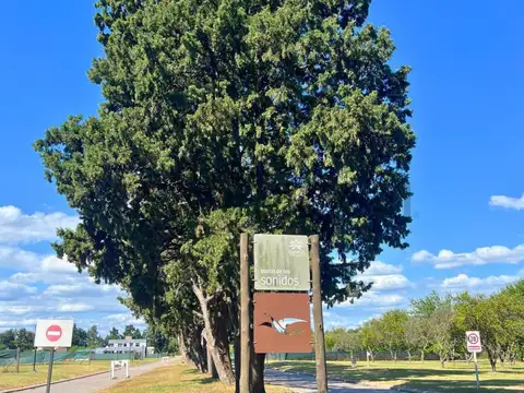Terreno en Venta 40  mts Fondo