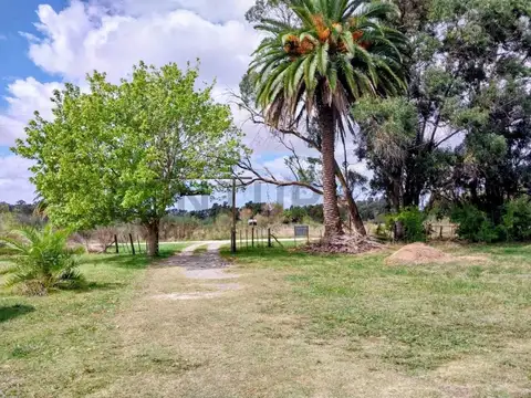 Hectareas con Casa de Campo en Venta en Veronica