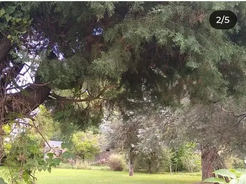 Terreno arbolado en Colastiné Norte (oeste)