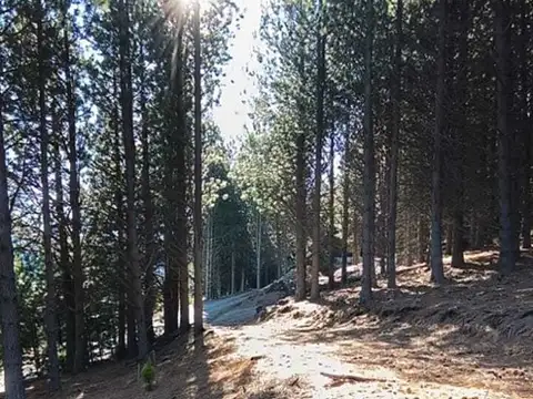 Terreno en Venta de 2514,0 m2