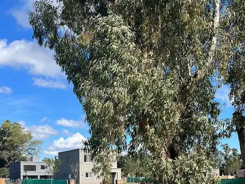 Lote central en venta Santo Tomas