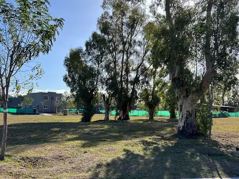 Terreno en  venta en Santo Tomas - central