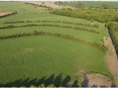 Campo de 7 hectareas con casa, sobre ruta.