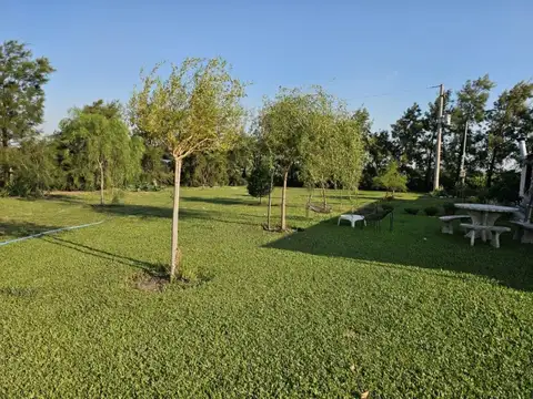 Campo en Venta Agrícola