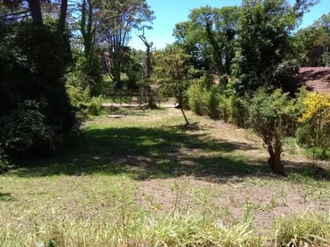 Paseo 127 500