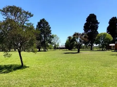 VENTA- Lote lindero a campo Timbo, entorno encantador, espacios amplios y  naturaleza.