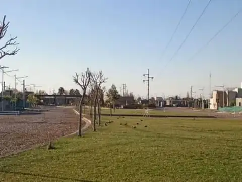 Terreno en Venta de 302,0 m2