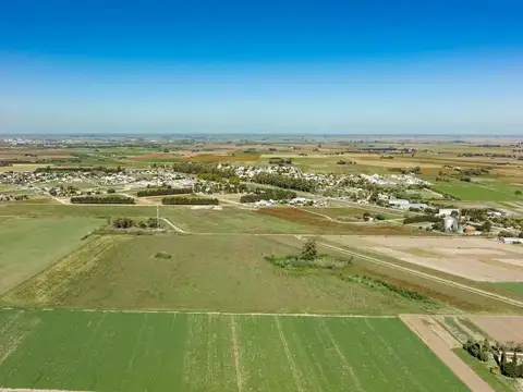 Alea barrio