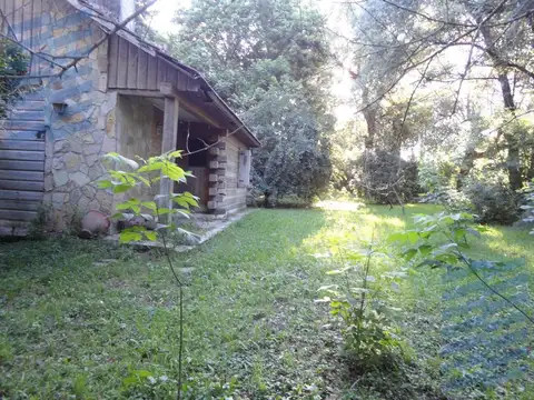 Los Traperos Y Los Gladiolos Escobar