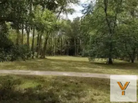 Terreno en venta - 1.527Mts2 - Los Pinos, Exaltación de la Cruz