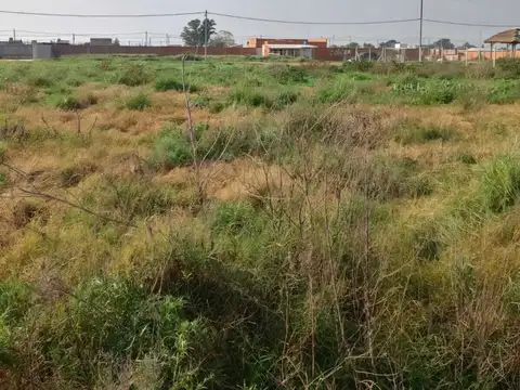 Barrio La Campiña III, Zarate 100