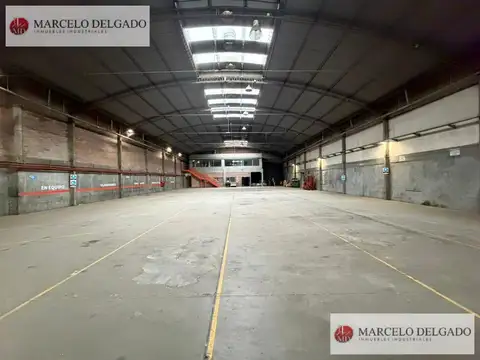 Anibal P. Arbeletche al 1500
