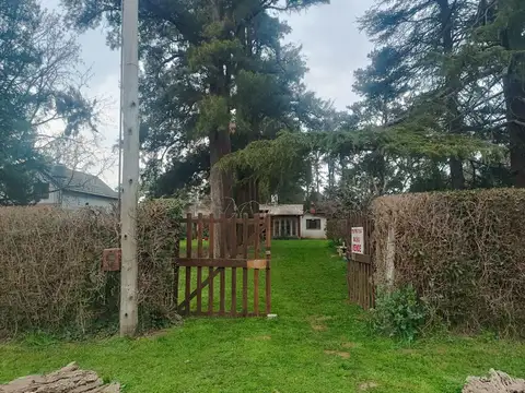 La Golondrina 1600