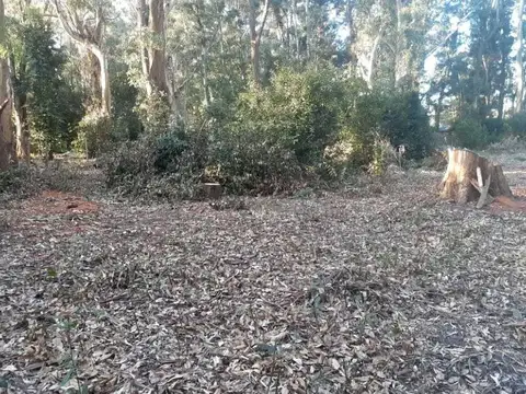 Ruta 11 e/ Landa y Cailfucura