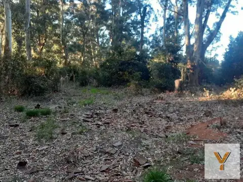 Terreno en Venta de 4324,0 m2