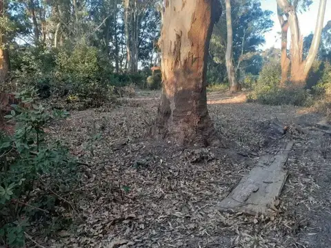 Terreno en venta - 4324 mts2 - Punta Indio