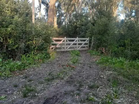 Terreno en Venta de 4324,0 m2