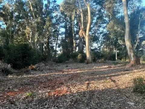 Terreno en Venta en Punta Indio, USD 50.000