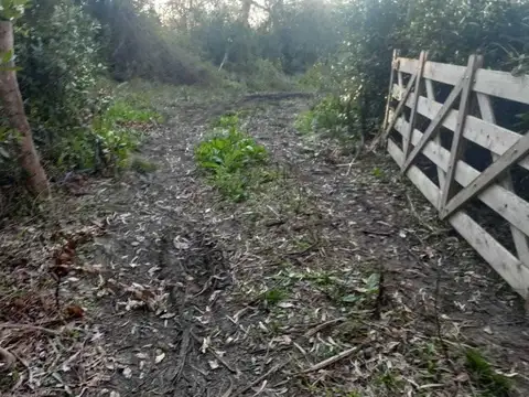 Ruta 11 e/ Landa y Cailfucura