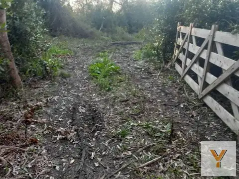 Ruta 11 e/ Landa y Cailfucura