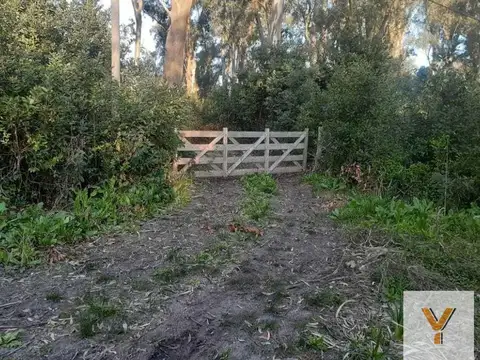 Terreno en Venta de 4324,0 m2